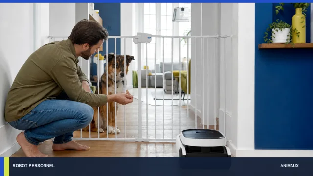 Chien observant un robot domestique derrière une barrière sous surveillance.